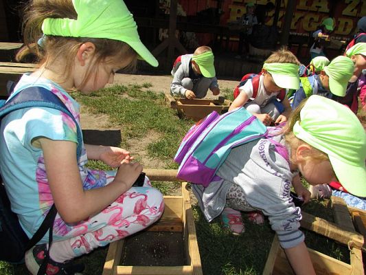 Grafika #40: 07.06.2016 Wycieczka gr. II i III do Parku Dinozaurów cz. II