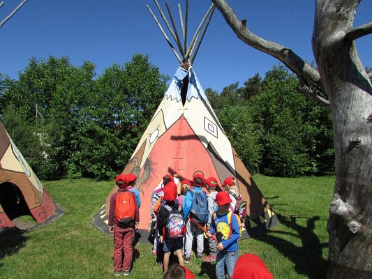 Grafika #54: 07.06.2016 Wycieczka gr. II i III do Parku Dinozaurów cz. II