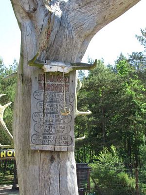 Grafika #60: 07.06.2016 Wycieczka gr. II i III do Parku Dinozaurów cz. II