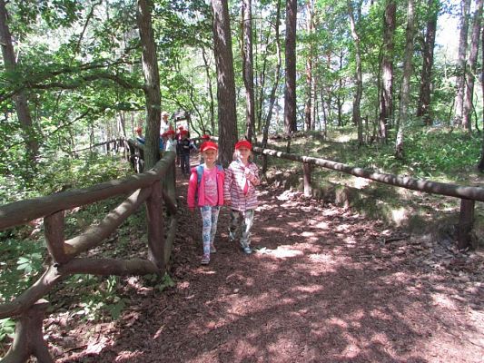 Grafika #62: 07.06.2016 Wycieczka gr. II i III do Parku Dinozaurów cz. II