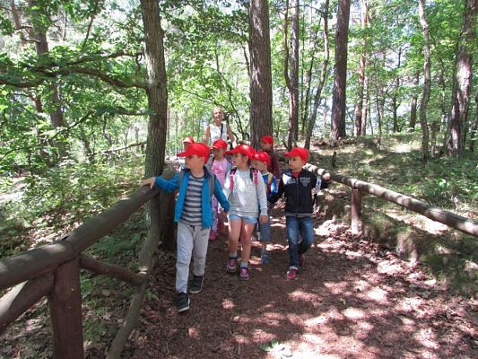 Grafika #63: 07.06.2016 Wycieczka gr. II i III do Parku Dinozaurów cz. II