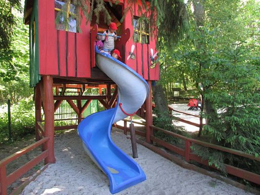 Grafika #67: 07.06.2016 Wycieczka gr. II i III do Parku Dinozaurów cz. II