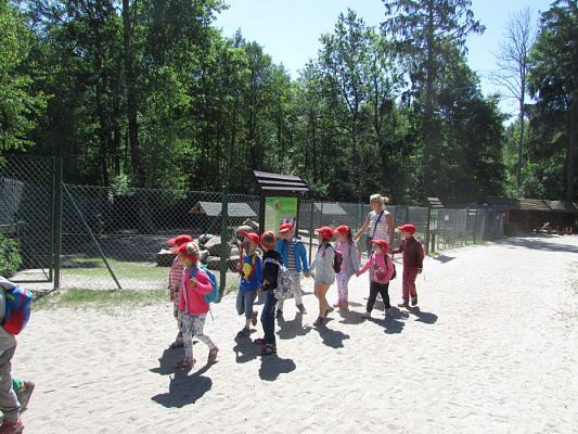 Grafika #69: 07.06.2016 Wycieczka gr. II i III do Parku Dinozaurów cz. II