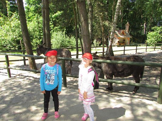 Grafika #70: 07.06.2016 Wycieczka gr. II i III do Parku Dinozaurów cz. II