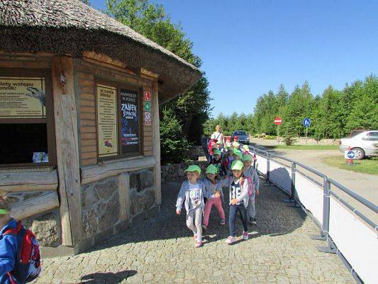 Grafika #5: 07.06.2016 Wycieczka gr. II i III do Parku Dinozaurów cz. I