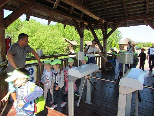 Grafika #6: 07.06.2016 Wycieczka gr. II i III do Parku Dinozaurów cz. I