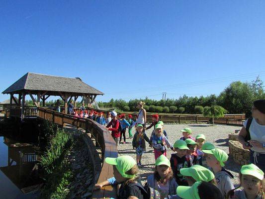 Grafika #9: 07.06.2016 Wycieczka gr. II i III do Parku Dinozaurów cz. I