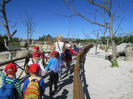 Grafika #14: 07.06.2016 Wycieczka gr. II i III do Parku Dinozaurów cz. I