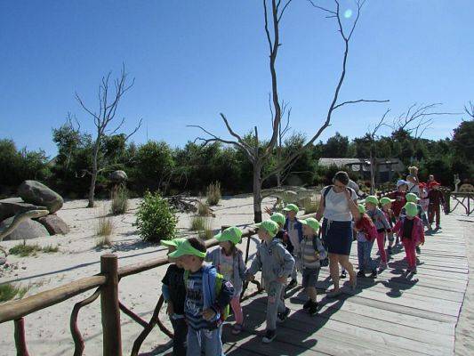 Grafika #15: 07.06.2016 Wycieczka gr. II i III do Parku Dinozaurów cz. I