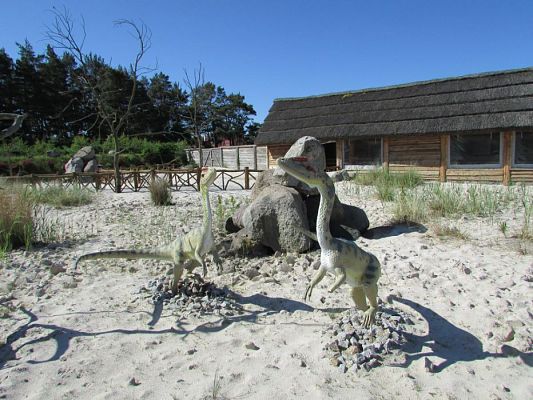 Grafika #17: 07.06.2016 Wycieczka gr. II i III do Parku Dinozaurów cz. I