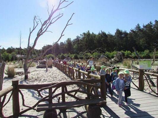 Grafika #18: 07.06.2016 Wycieczka gr. II i III do Parku Dinozaurów cz. I