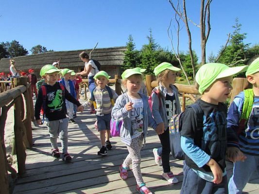 Grafika #22: 07.06.2016 Wycieczka gr. II i III do Parku Dinozaurów cz. I