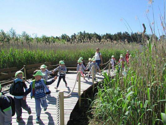 Grafika #24: 07.06.2016 Wycieczka gr. II i III do Parku Dinozaurów cz. I