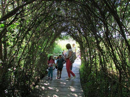 Grafika #25: 07.06.2016 Wycieczka gr. II i III do Parku Dinozaurów cz. I