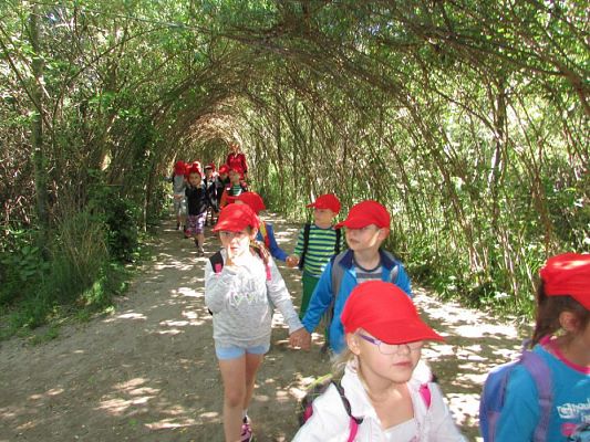 Grafika #32: 07.06.2016 Wycieczka gr. II i III do Parku Dinozaurów cz. I