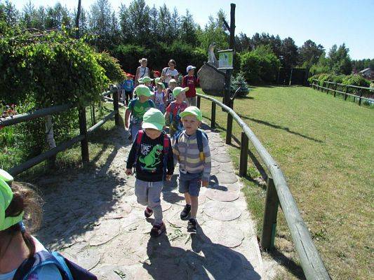 Grafika #35: 07.06.2016 Wycieczka gr. II i III do Parku Dinozaurów cz. I