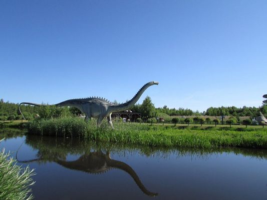 Grafika #44: 07.06.2016 Wycieczka gr. II i III do Parku Dinozaurów cz. I