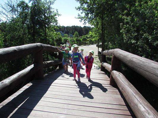 Grafika #46: 07.06.2016 Wycieczka gr. II i III do Parku Dinozaurów cz. I