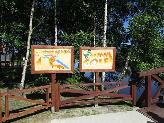 Grafika #48: 07.06.2016 Wycieczka gr. II i III do Parku Dinozaurów cz. I