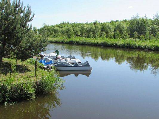 Grafika #49: 07.06.2016 Wycieczka gr. II i III do Parku Dinozaurów cz. I