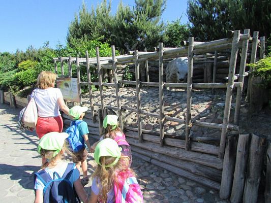 Grafika #57: 07.06.2016 Wycieczka gr. II i III do Parku Dinozaurów cz. I