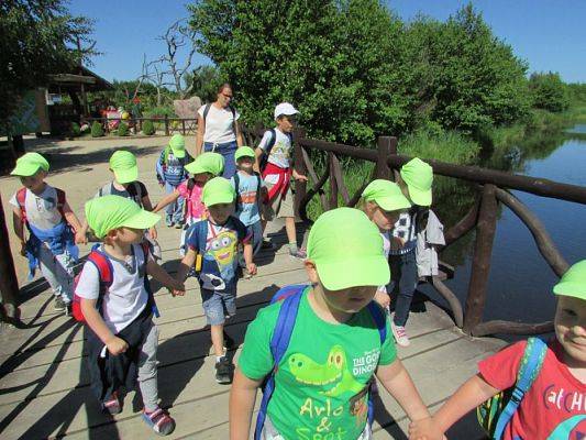 Grafika #68: 07.06.2016 Wycieczka gr. II i III do Parku Dinozaurów cz. I