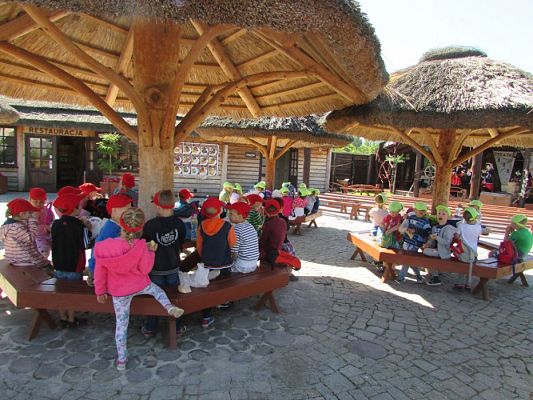 Grafika #77: 07.06.2016 Wycieczka gr. II i III do Parku Dinozaurów cz. I