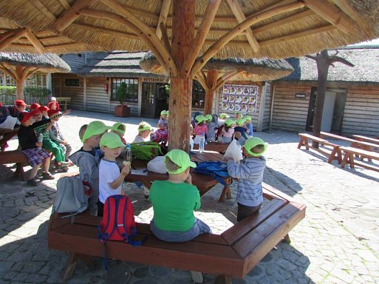 Grafika #78: 07.06.2016 Wycieczka gr. II i III do Parku Dinozaurów cz. I