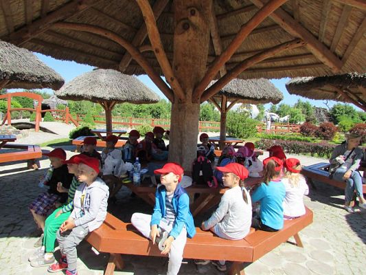 Grafika #80: 07.06.2016 Wycieczka gr. II i III do Parku Dinozaurów cz. I