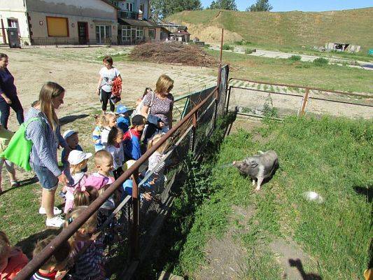 Grafika #12: 06.06.2016 Wycieczka gr.I do Mini Zoo-Arki Noego