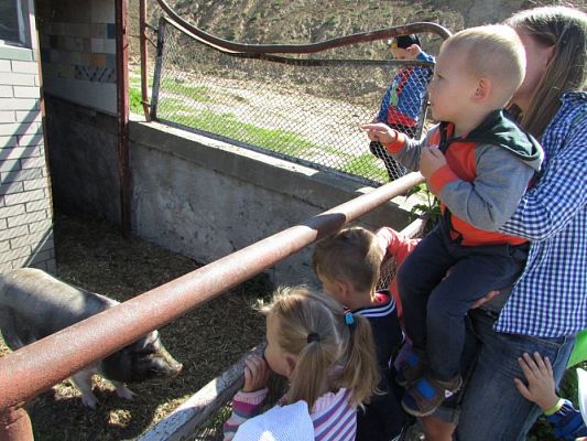 Grafika #14: 06.06.2016 Wycieczka gr.I do Mini Zoo-Arki Noego