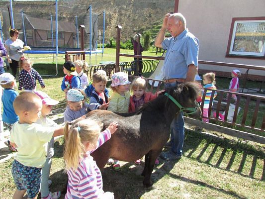 Grafika #21: 06.06.2016 Wycieczka gr.I do Mini Zoo-Arki Noego