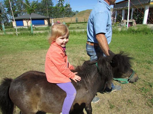 Grafika #25: 06.06.2016 Wycieczka gr.I do Mini Zoo-Arki Noego