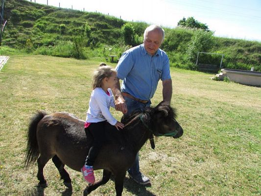 Grafika #29: 06.06.2016 Wycieczka gr.I do Mini Zoo-Arki Noego