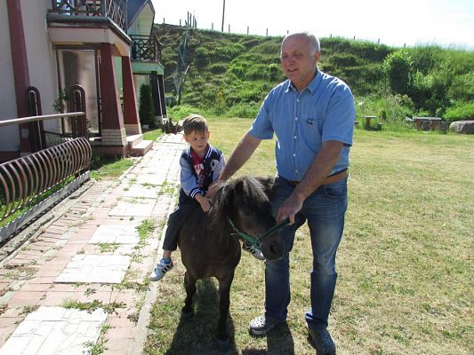 Grafika #32: 06.06.2016 Wycieczka gr.I do Mini Zoo-Arki Noego