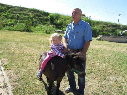 Grafika #33: 06.06.2016 Wycieczka gr.I do Mini Zoo-Arki Noego