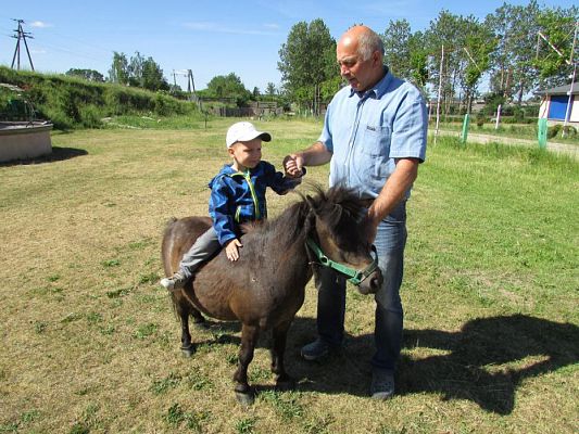 Grafika #42: 06.06.2016 Wycieczka gr.I do Mini Zoo-Arki Noego