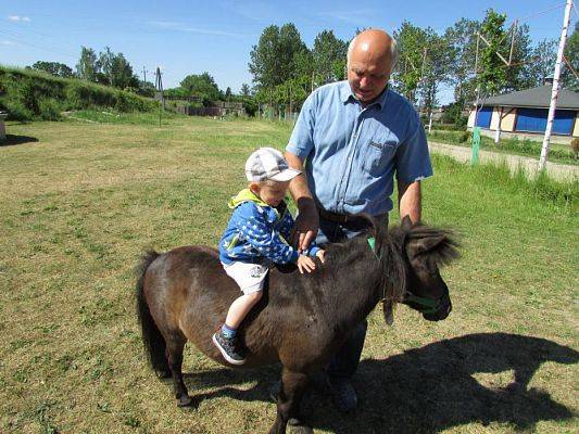 Grafika #44: 06.06.2016 Wycieczka gr.I do Mini Zoo-Arki Noego