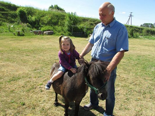 Grafika #47: 06.06.2016 Wycieczka gr.I do Mini Zoo-Arki Noego