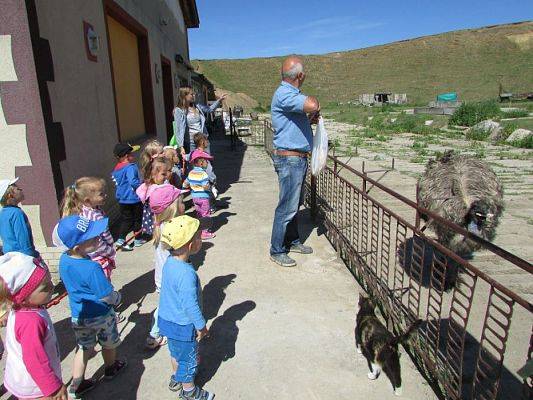 Grafika #53: 06.06.2016 Wycieczka gr.I do Mini Zoo-Arki Noego