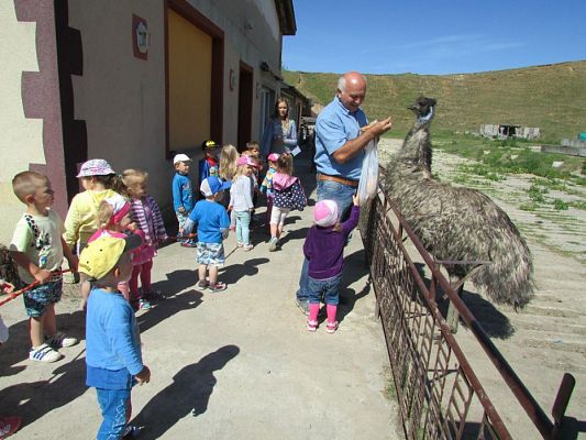 Grafika #54: 06.06.2016 Wycieczka gr.I do Mini Zoo-Arki Noego