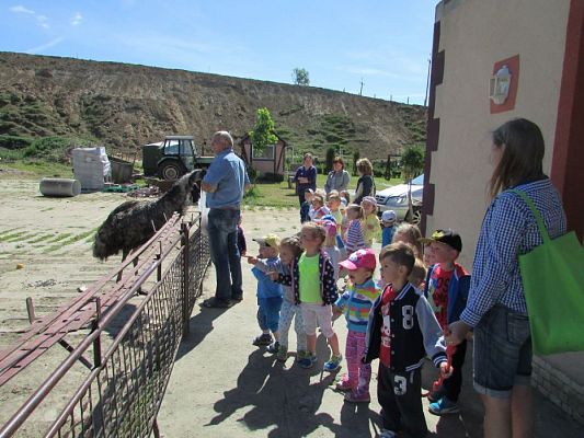 Grafika #55: 06.06.2016 Wycieczka gr.I do Mini Zoo-Arki Noego