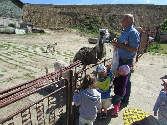 Grafika #62: 06.06.2016 Wycieczka gr.I do Mini Zoo-Arki Noego