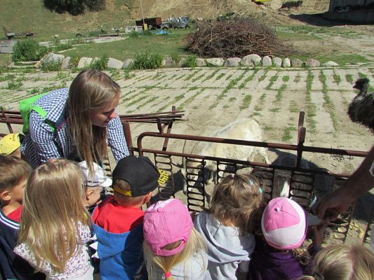 Grafika #63: 06.06.2016 Wycieczka gr.I do Mini Zoo-Arki Noego