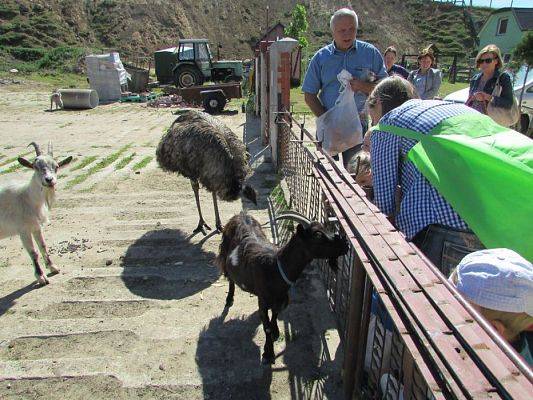 Grafika #64: 06.06.2016 Wycieczka gr.I do Mini Zoo-Arki Noego