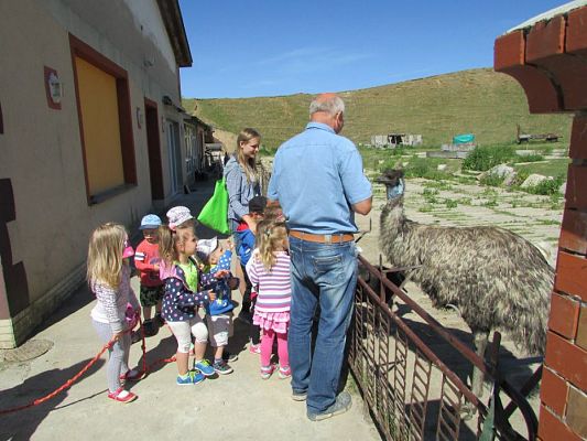 Grafika #66: 06.06.2016 Wycieczka gr.I do Mini Zoo-Arki Noego