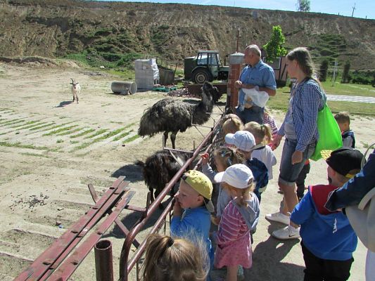 Grafika #67: 06.06.2016 Wycieczka gr.I do Mini Zoo-Arki Noego