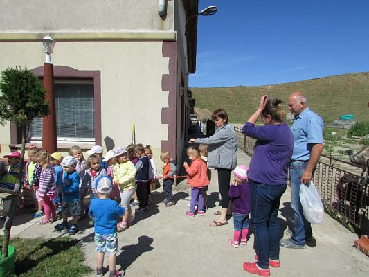 Grafika #69: 06.06.2016 Wycieczka gr.I do Mini Zoo-Arki Noego