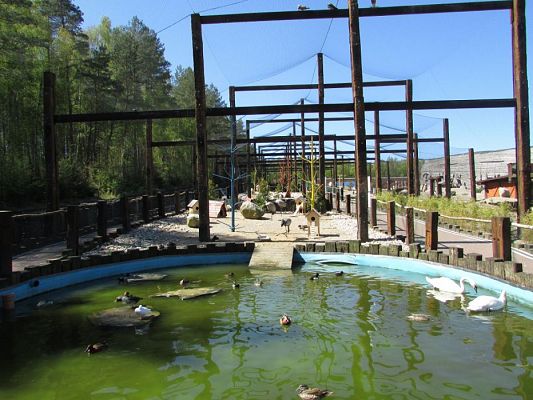 Grafika #1: 06.05.2016 Wycieczka do Sea Parku w Sarbsku cz.II