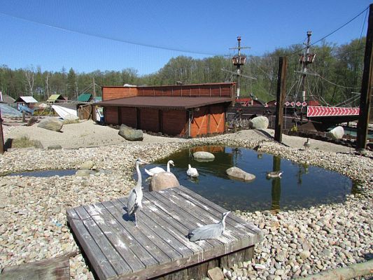 Grafika #3: 06.05.2016 Wycieczka do Sea Parku w Sarbsku cz.II